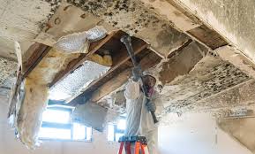 Best Mold Remediation for Healthcare Facilities  in Bridgeport, OH